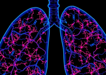 Silencing HIF-1α Makes Erlotinib Work Better Against Lung Cancer Cells