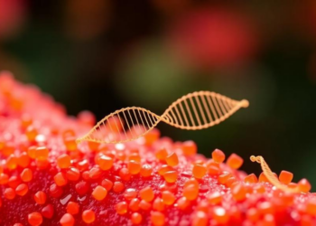 Lipid nanoparticles emerge as leading siRNA carriers for liver cancer therapy