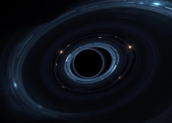 Dark Matter Halos Leave Fingerprints in Gravitational Waves from Black Hole Orbits