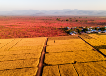 Farms shift toward the tropics and drylands as settlements expand