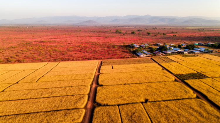 Farms shift toward the tropics and drylands as settlements expand