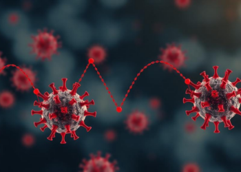 Memory-dependent immune feedback offers reduced-order model of within-host viral dynamics