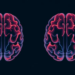 Neighborhood Disadvantage Leaves a Measurable Imprint on Brain Aging, MRI Study Finds
