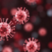 Gamma Delta T Cells Blur the Line Between Innate and Adaptive Immunity