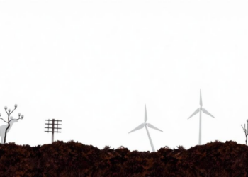Science to Policy: Study Finds Seven-Year Lag in Environmental Decision-Making