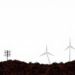 Science to Policy: Study Finds Seven-Year Lag in Environmental Decision-Making