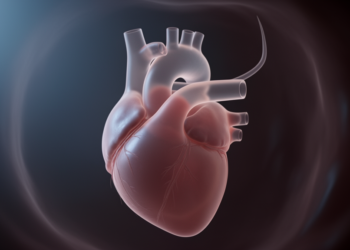 Redundant Foramen Ovale Flap Can Mimic Fetal Coarctation of the Aorta on Prenatal Ultrasound
