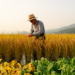 Ozone Is Quietly Cutting Japan’s Rice and Spinach Harvests, Study Finds