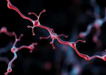 Nose-to-Brain Protein Delivery Shows Promise for Protecting Dopamine Neurons in Parkinson’s Models