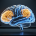 Two Brain Network Measures Reveal Shared and Distinct Patterns in Focal Epilepsy