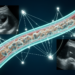 Multi-expert AI network sharpens carotid plaque segmentation across ultrasound centers