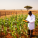 Africa’s GM Food Revolution Stalls at Just 15 of 54 Nations