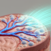 Digital Pathology Tool Quantifies Amyloid Vessels and Plaques in CAA