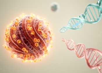 Histone Lactylation Drives ALKBH5 to Worsen Cardiac Hypertrophy via ATF6 Demethylation