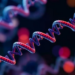 Computational Framework Ranks Safer RNA-LNP Formulations Before the Lab