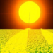 AI Meets Solar Simulation to Track Moisture Damage in Perovskite Cells