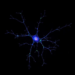 Polycomb Protein PCGF1 Steers Astrocyte Development by Guarding Notch Signals