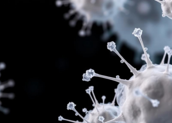 Bacterial Cellulose Composites Engineered for Wound Dressings Show Antibacterial Power