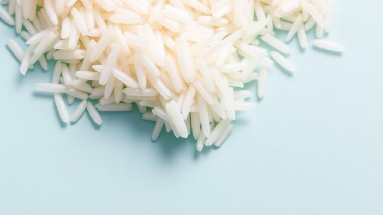 Scientists unlock rice protein’s hidden power as a plant-based emulsifier