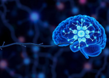After Brain Injury, Astrocytes Ship Mitochondria to Struggling Neurons