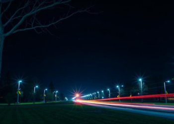 The Night That Never Darkens: How Artificial Light Is Rewriting Biology