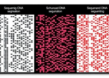 Three sequencing methods tested on archival breast tumor DNA methylation