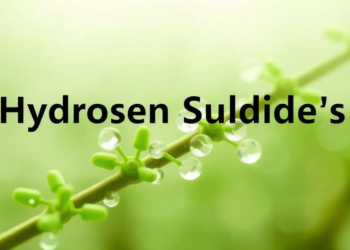 Hydrogen Sulfide’s Hidden Hand: How a Tiny Gas Molecule Rewires Plant Proteins