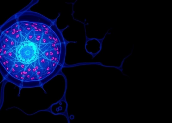Granulosa Cell MYC Sustains Oocyte Quality Through Glycerophospholipid Metabolism in Mice