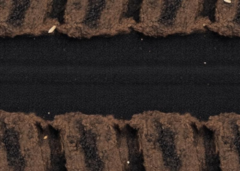 Five Years of Biochar Steers Nitrogen Toward Retention Deep in Alkaline Rice Soils