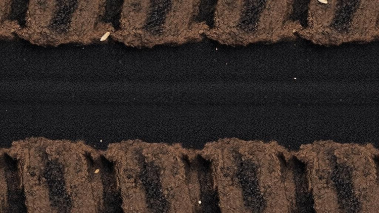 Five Years of Biochar Steers Nitrogen Toward Retention Deep in Alkaline Rice Soils