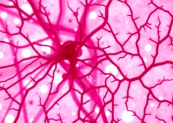 Tumor-Infiltrating Lymphocytes and Microvessel Density Together Predict Breast Cancer Prognosis