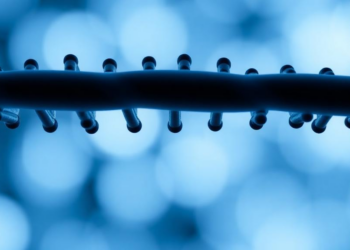 Genetic Study Links Panic Disorder Liability to Lower Blood Triglyceride Levels