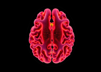 Explainable AI Fuses MRI and Texture Features to Stage Alzheimer’s Disease