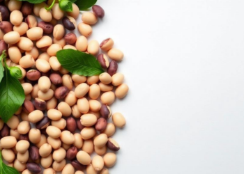 UK-Grown Beans Reveal Why Household Habits Decide Sustainable Diets