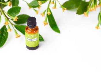 Plant Compounds and Essential Oils Team Up with Antibiotics Against Resistant Bacteria