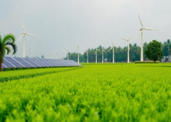 Renewables Alone Cannot Shield South Asia’s Ecosystems from Energy Price Shocks, Study Finds