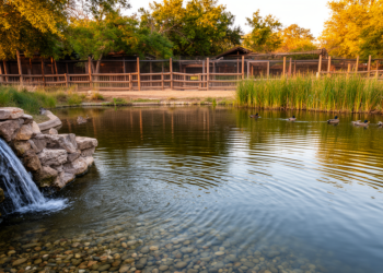 Zoo ponds show water quality shaped by hydraulics, not just pollutant loads
