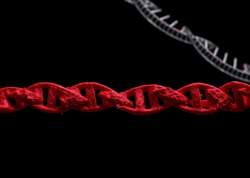 Hidden Metabolic Diseases Found in Unexplained Child Deaths Through Blood Spot and DNA Analysis