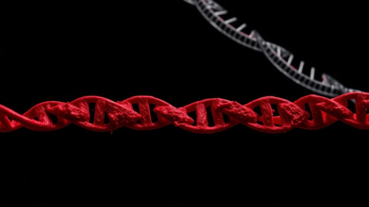 Hidden Metabolic Diseases Found in Unexplained Child Deaths Through Blood Spot and DNA Analysis