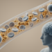 Research report: Association between platelet-to-albumin ratio and major depressive disorder: findings from a Chinese clinical cohort supported by population-based evidence