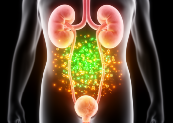 Reactive Oxygen Molecules Sit at the Heart of Prostate, Bladder and Kidney Disease