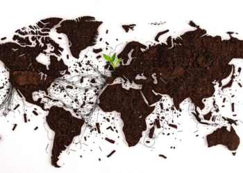 Biochar Research Booms as Scientists Map the Race to Rescue the World’s Dying Soils