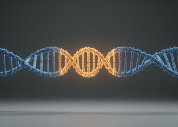 Human pangenome analysis uncovers a widespread triplication of the antibody constant gene region
