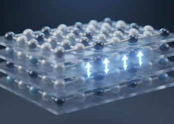 Two-dimensional ferroelectric TlGaS2 shows dual polarization behavior
