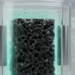 Machine learning steers biomass carbon cathodes to stronger zinc-ion supercapacitors