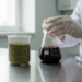 Yerba mate extract brews iron nanoparticles that switch between germ-killing and dye-trapping