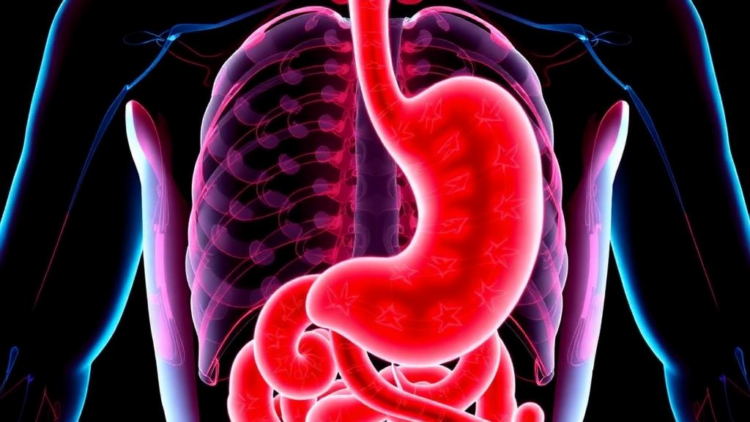 When Gastric Cancer Vanishes Before Surgery: New Study Maps Who Beats the Odds