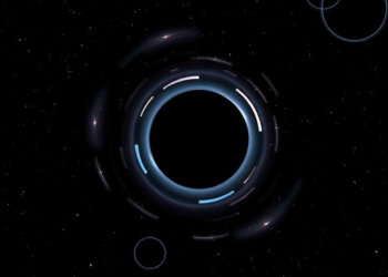 Dark Matter Halos Leave Only a Whisper on a Black Hole’s Spacetime
