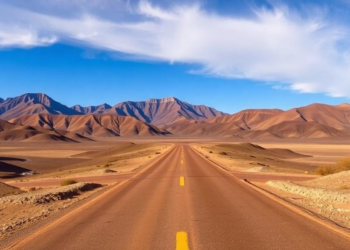 Four Soil Clues Reveal How Roads Reshape the Health of the World’s Highest Plateau