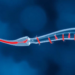 Sperm’s Epigenetic Balancing Act: Flexibility Versus Stability in the Male Germline